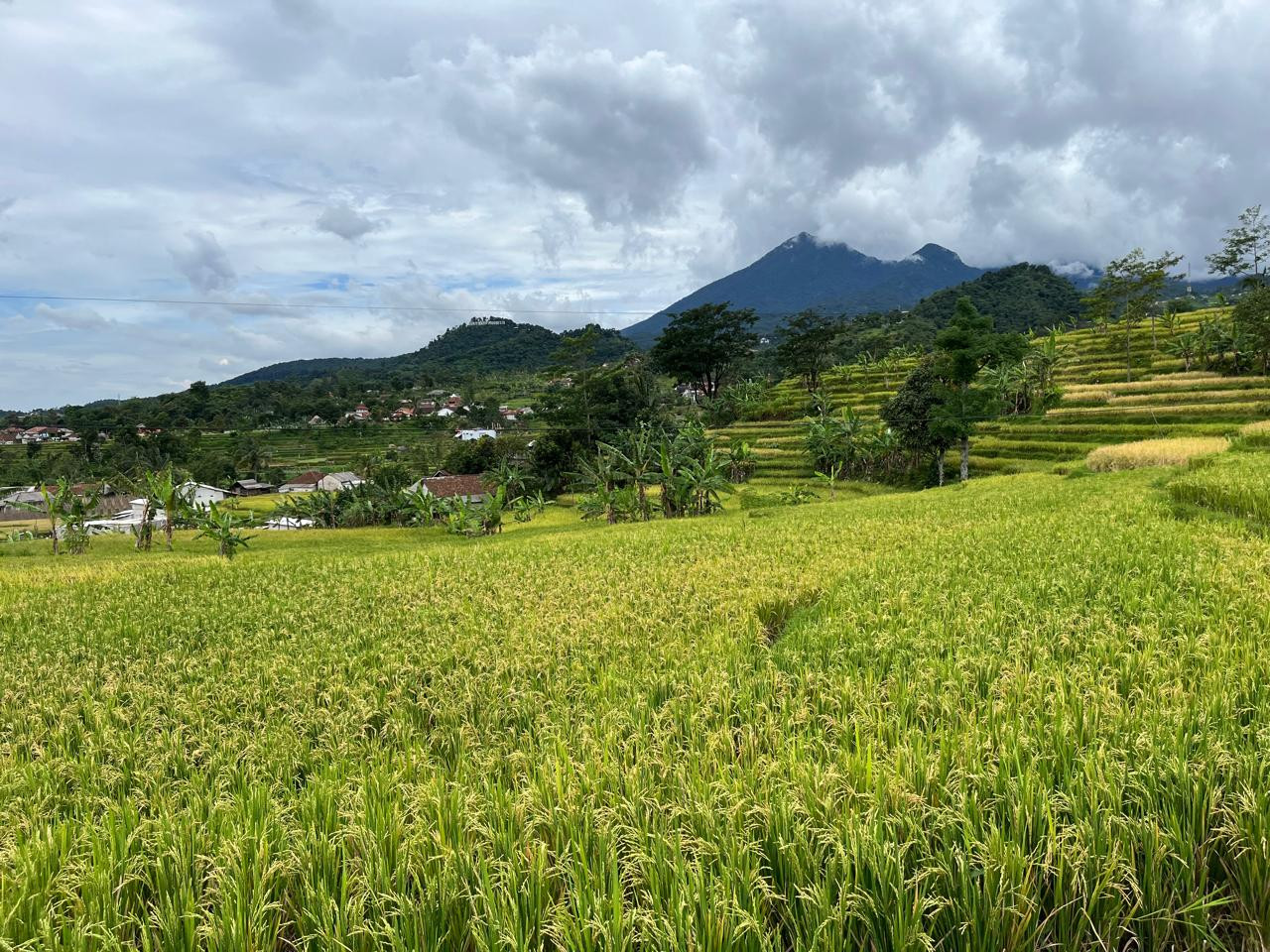 Soal Gugatan ke Tempo, Hasan Nasbi: Ini Bukan Kriminalisasi, Tapi Hak Konstitusional